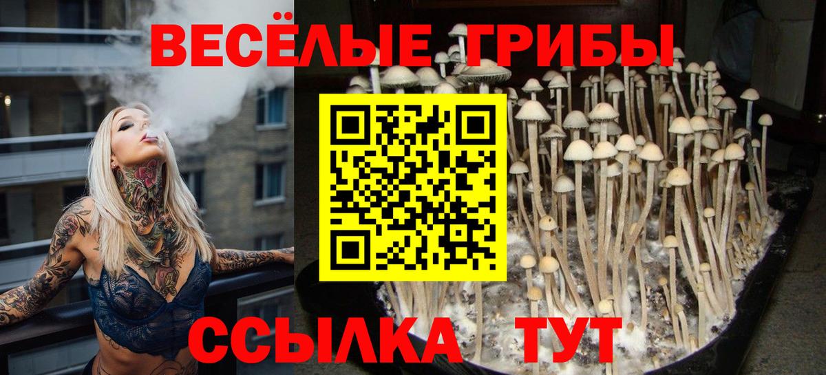 Галлюциногенные грибы мицелий Усолье-Сибирское